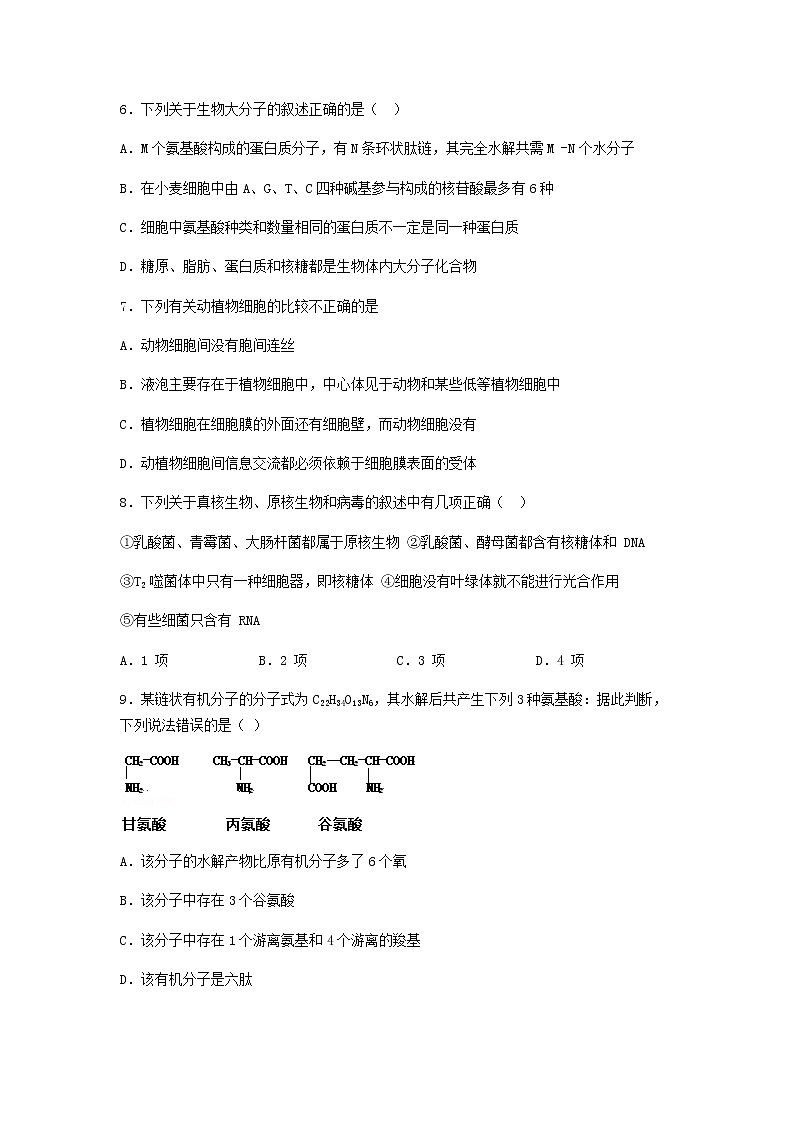 2022~2023学年山西省大同市第一中学高一上学期期中考试生物试卷含答案03