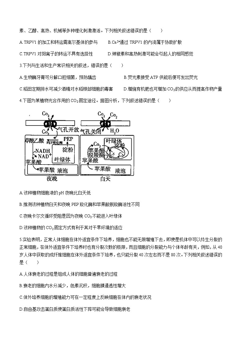 2021-2022学年河南省名校联盟高二上学期期末生物试题含答案02