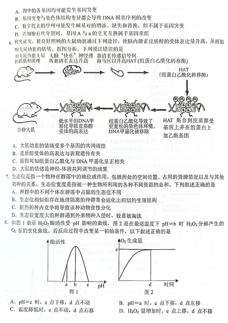 2023杭州地区（含周边）重点中学高三下学期一模试题生物PDF版含答案第2页