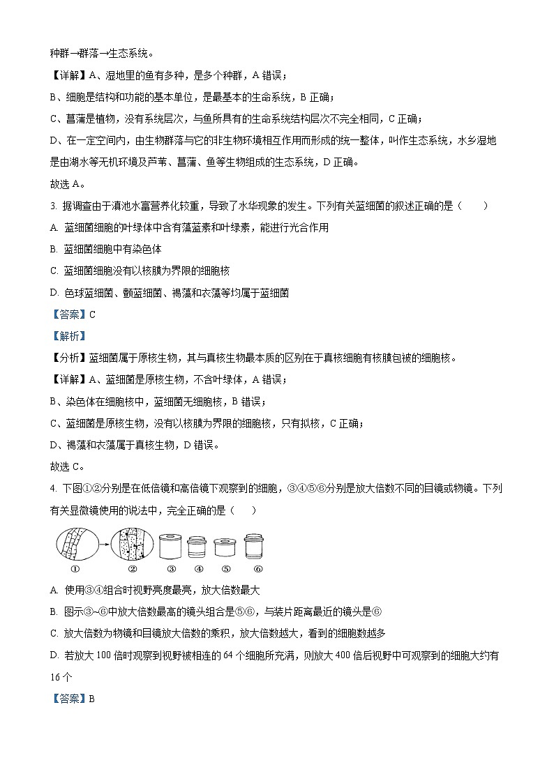 内蒙古呼和浩特市一中2022-2023学年高一上学期自测生物试题含解析第2页