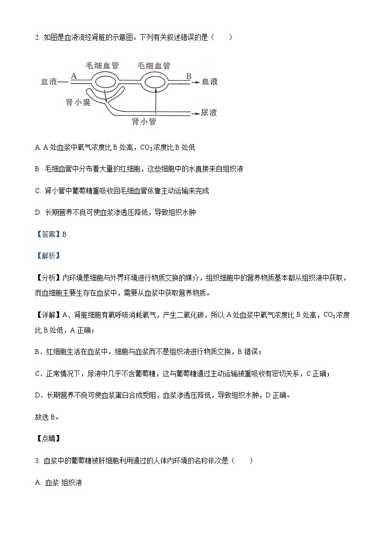 2022-2023学年内蒙古呼和浩特市第二中学高二上学期期中考试生物试题含解析第2页