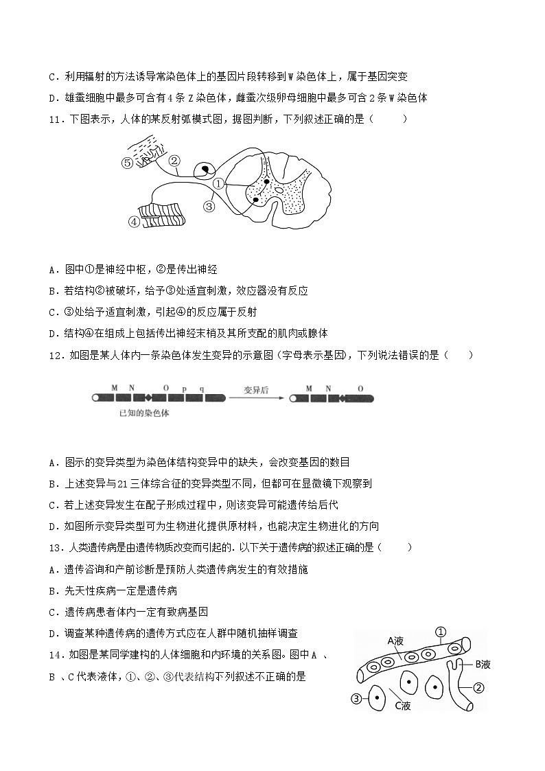 四川省遂宁中学校2022-2023学年高二上学期期中考试生物试卷含解析03