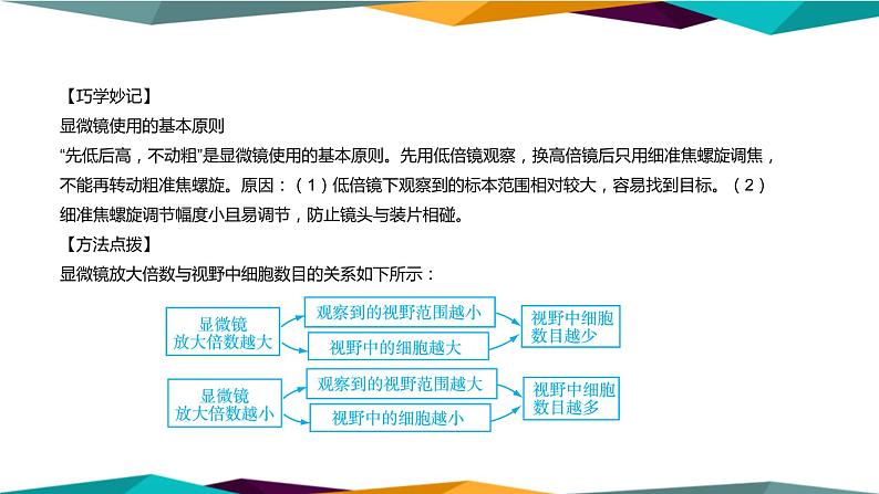 1.2《细胞的多样性和统一性》课件PPT+同步练习（含答案）08