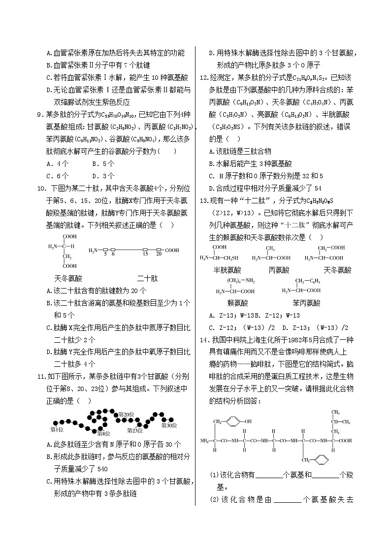第2章 第4节 蛋白质是生命活动的主要承担者第2页