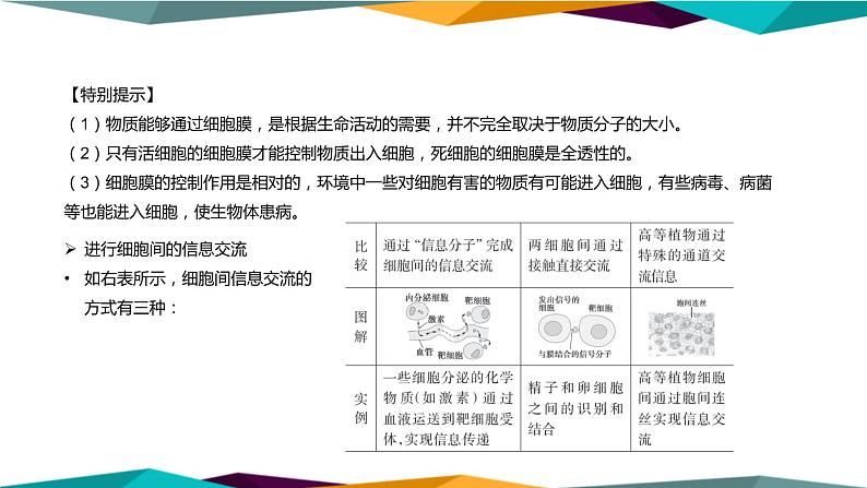 3.1《细胞膜的结构和功能》课件PPT+同步练习（含答案）07