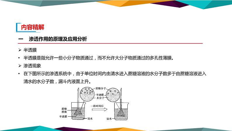 4.1《被动运输》课件PPT+同步练习（含答案）06