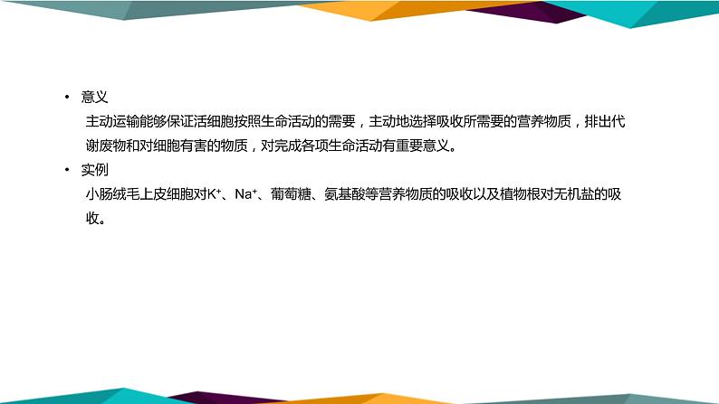 4.2《主动运输与胞吞、胞吐》课件PPT+同步练习（含答案）07