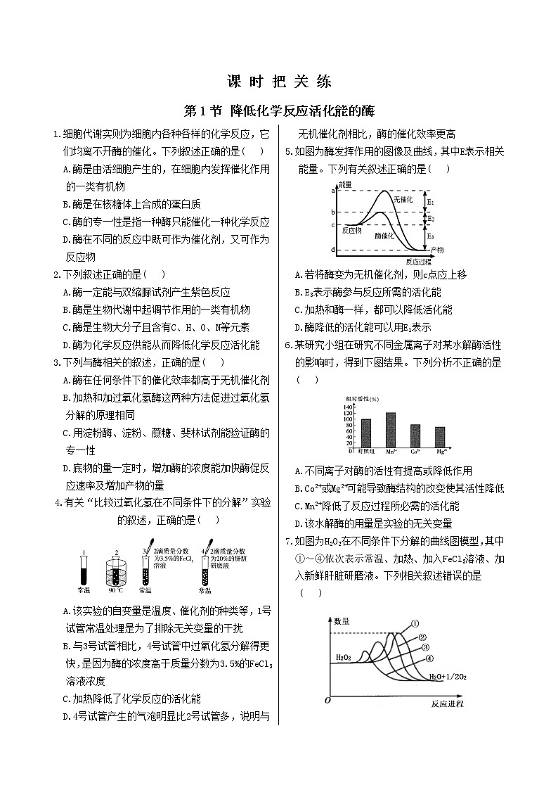 第5章 第1节 降低化学反应活化能的酶第1页