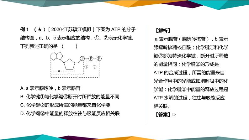 5.2《细胞的能量“货币”ATP》课件PPT+同步练习（含答案）08