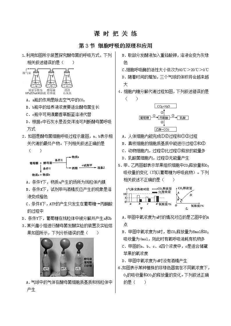 第5章 第3节 细胞呼吸的原理和应用第1页