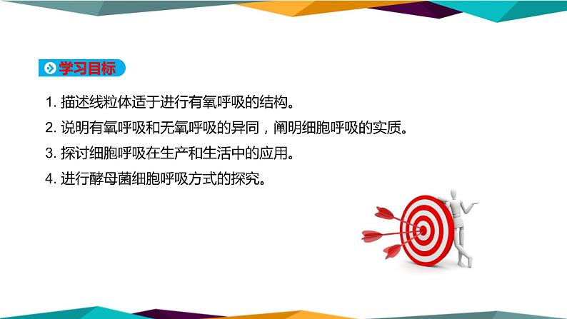 配套新教材高中生物学RJ必修1-5.3《细胞呼吸的原理和应用》课件PPT第2页