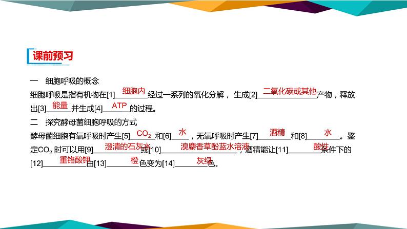 配套新教材高中生物学RJ必修1-5.3《细胞呼吸的原理和应用》课件PPT第4页