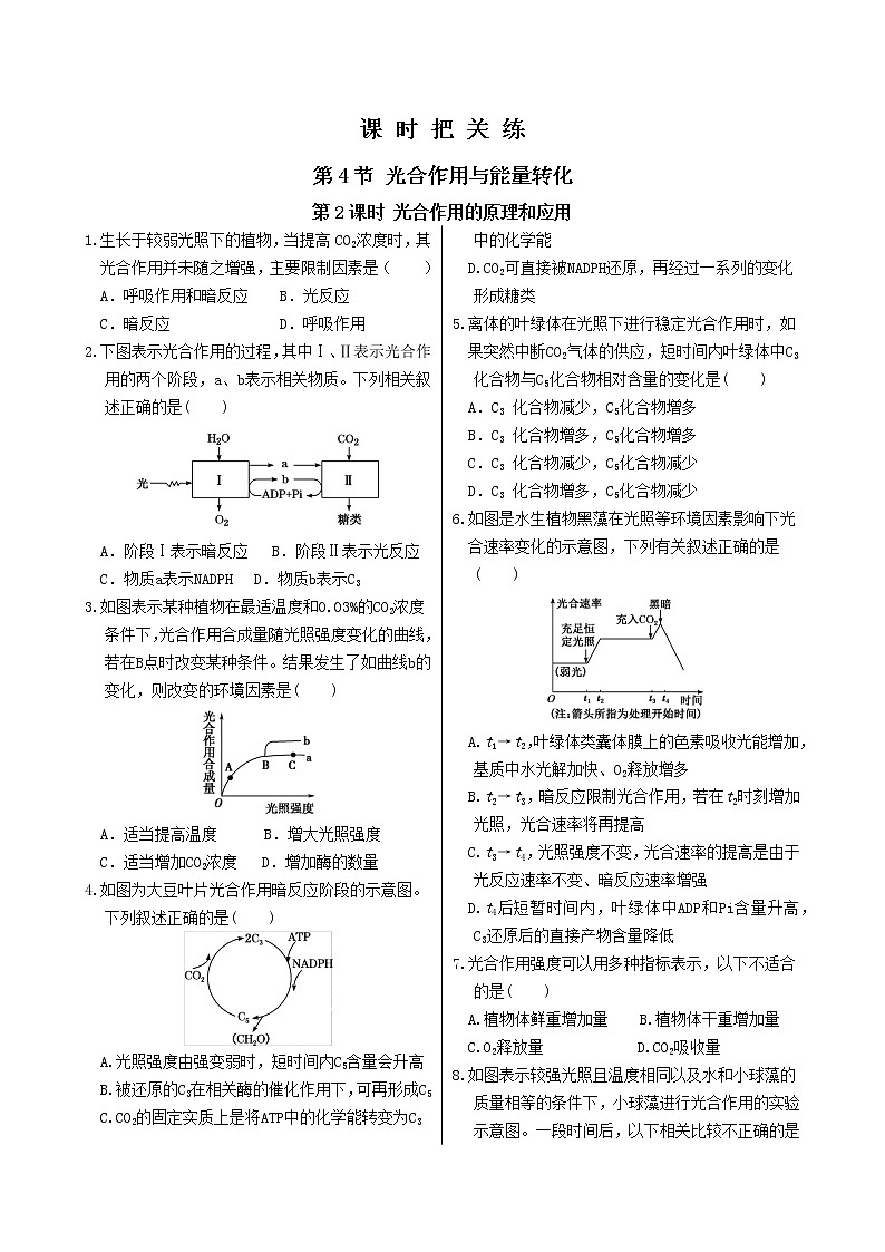 第5章 第4节 光合作用与能量转化 （第2课时 光合作用的原理和应用）第1页