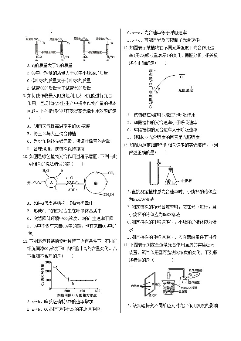 第5章 第4节 光合作用与能量转化 （第2课时 光合作用的原理和应用）第2页