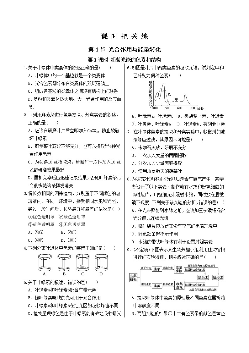 第5章 第4节 光合作用与能量转化 （第1课时 捕获光能的色素和结构）第1页