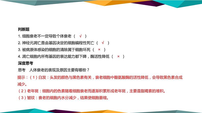 配套新教材高中生物学RJ必修1-6.3《细胞的衰老和死亡》课件PPT第5页