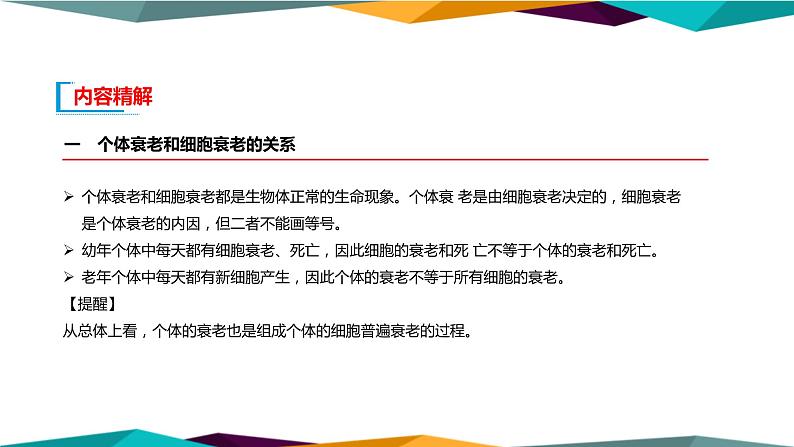 配套新教材高中生物学RJ必修1-6.3《细胞的衰老和死亡》课件PPT第6页