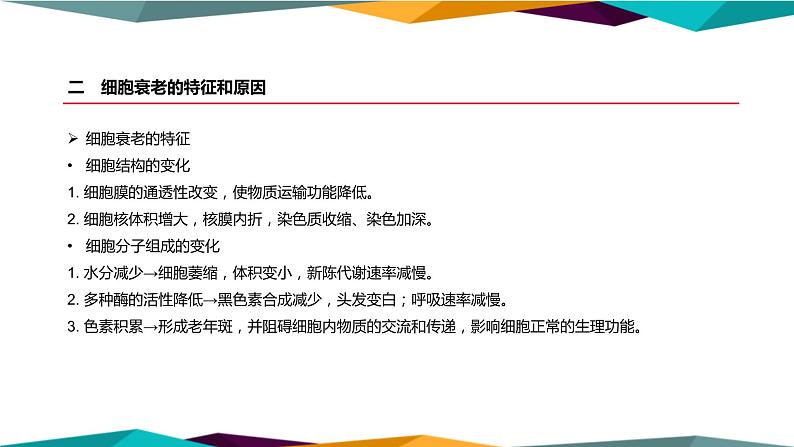 配套新教材高中生物学RJ必修1-6.3《细胞的衰老和死亡》课件PPT第8页