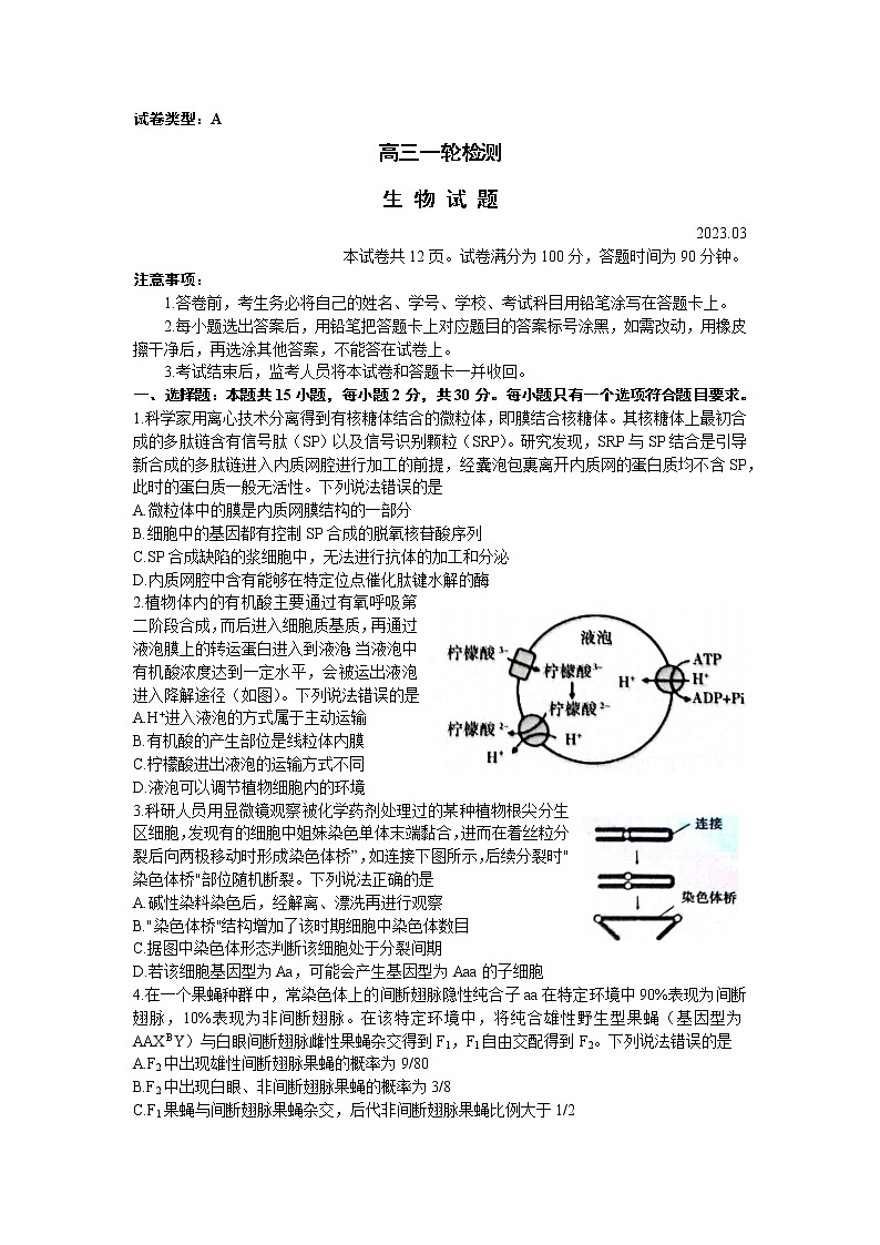 山东省泰安市2023届高三下学期3月一模试题+生物+Word版含答案01