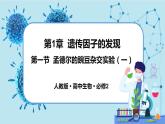 1.1《孟德尔的豌豆杂交实验（一）》课件PPT+同步练习（含答案）