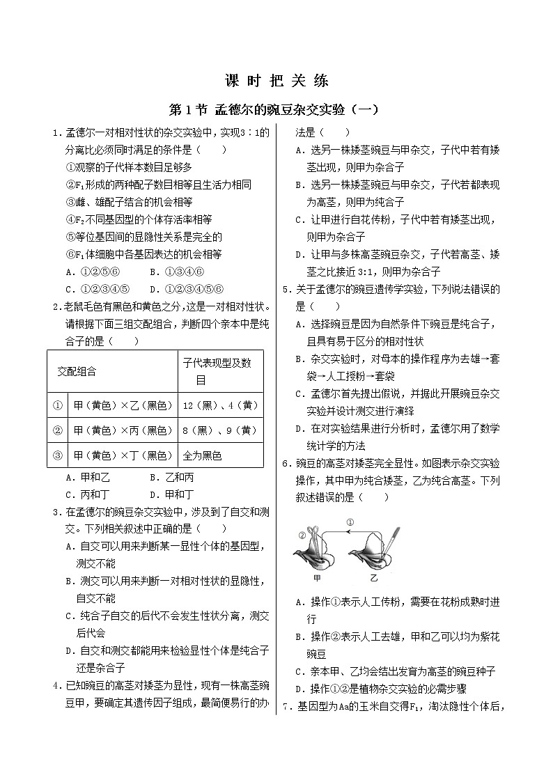 1.1《孟德尔的豌豆杂交实验（一）》课件PPT+同步练习（含答案）01
