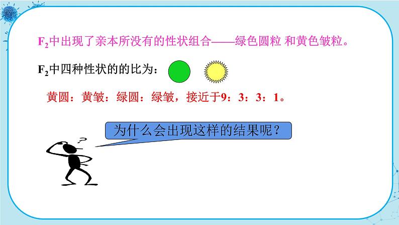 1.2《孟德尔的豌豆杂交实验（二）》课件PPT+同步练习（含答案）04