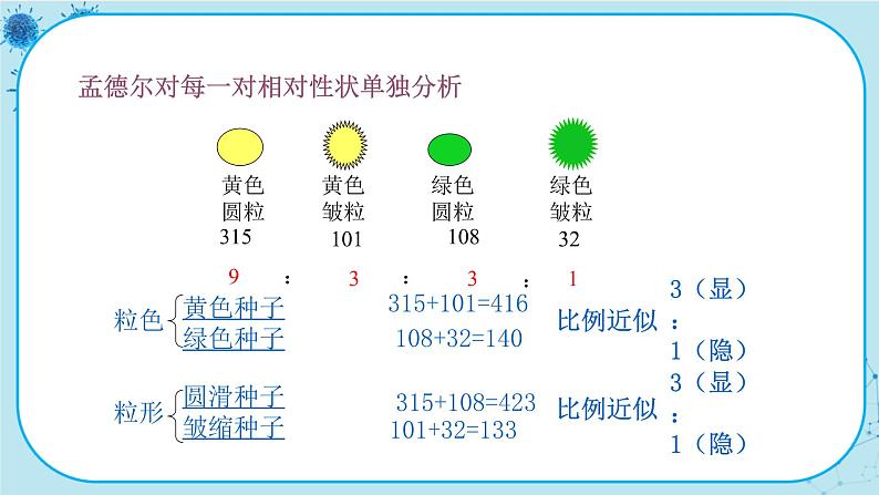 1.2《孟德尔的豌豆杂交实验（二）》课件PPT+同步练习（含答案）05