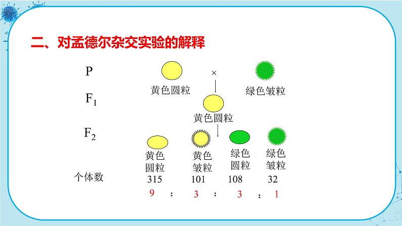 1.2《孟德尔的豌豆杂交实验（二）》课件PPT+同步练习（含答案）08