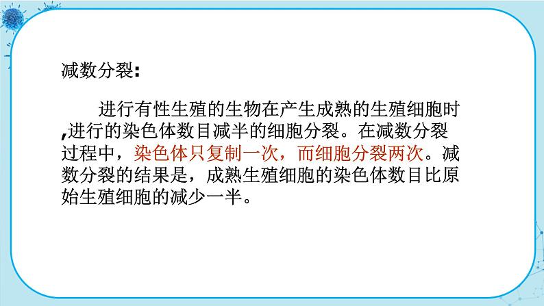 2.1《减数分裂和受精作用》课件PPT+同步练习（含答案）05