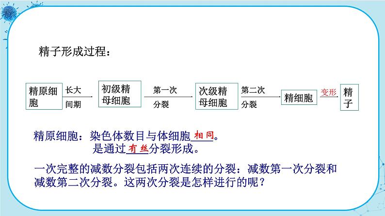 2.1《减数分裂和受精作用》课件PPT+同步练习（含答案）07