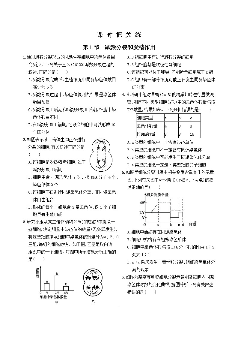 2.1《减数分裂和受精作用》课件PPT+同步练习（含答案）01