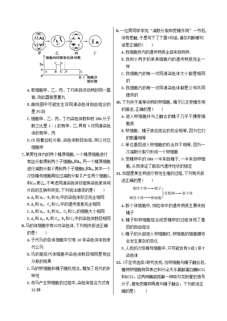 2.1《减数分裂和受精作用》课件PPT+同步练习（含答案）02