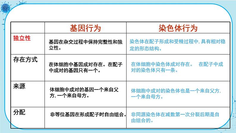 配套新教材-高中生物学-RJ-必修2第2章- 第2节第6页