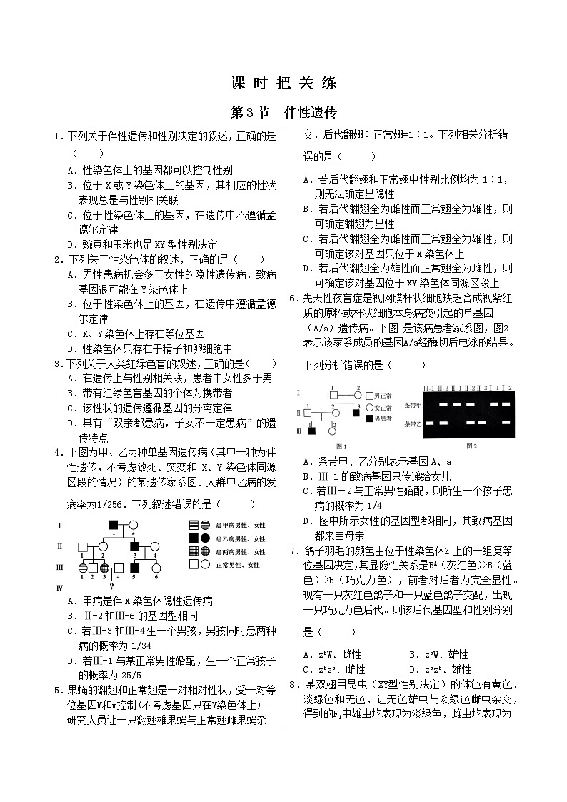 2.3《伴性遗传》课件PPT+同步练习（含答案）01