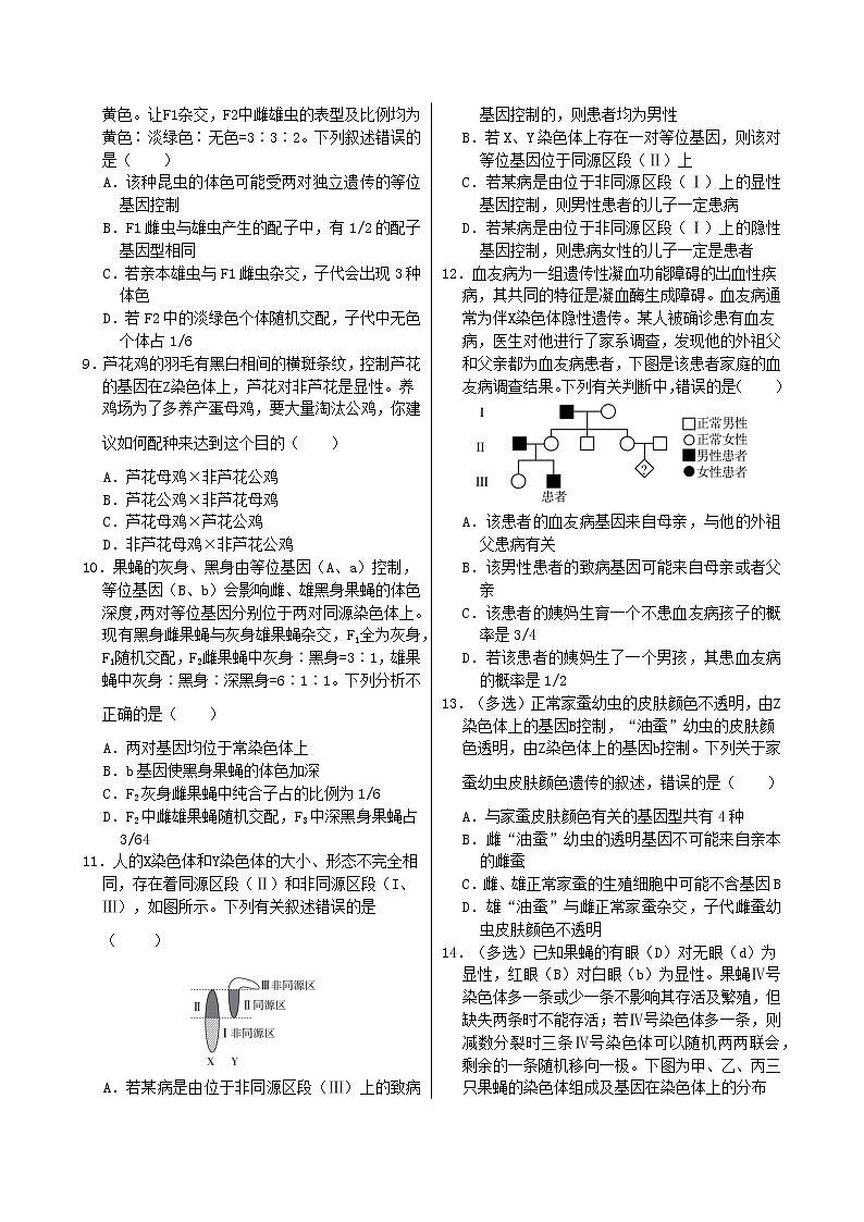 2.3《伴性遗传》课件PPT+同步练习（含答案）02