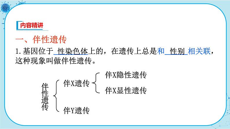 2.3《伴性遗传》课件PPT+同步练习（含答案）06