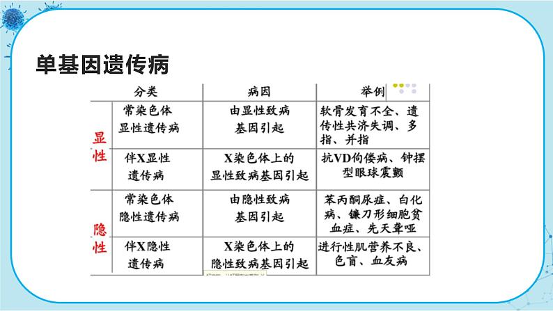 2.3《伴性遗传》课件PPT+同步练习（含答案）07