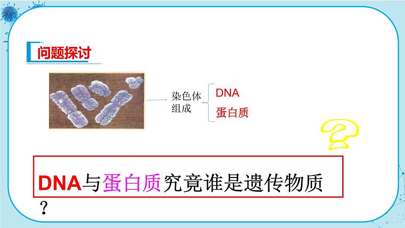 3.1《DNA是主要的遗传物质》课件PPT+同步练习（含答案）04