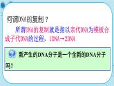 3.3《DNA的复制》课件PPT+同步练习（含答案）