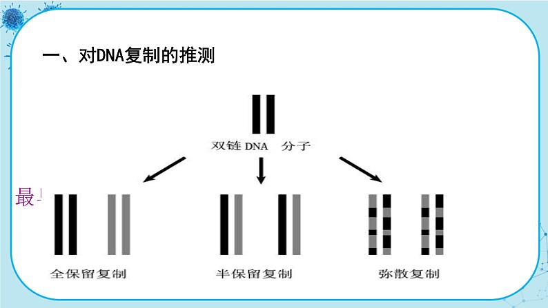 配套新教材-高中生物学-RJ-必修2第3章- 第3节第5页