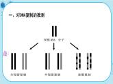 3.3《DNA的复制》课件PPT+同步练习（含答案）