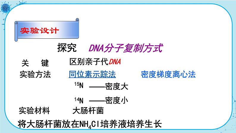 配套新教材-高中生物学-RJ-必修2第3章- 第3节第7页