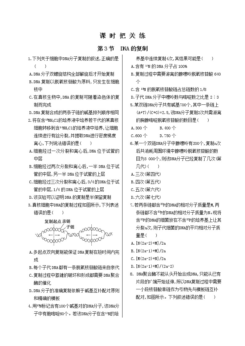 第3章 第3节 DNA的复制第1页