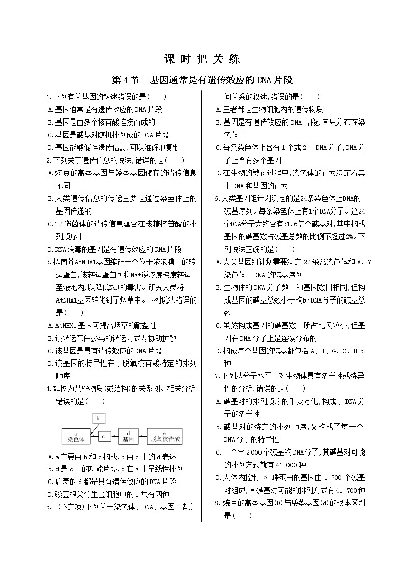 3.4《基因通常是有遗传效应的DNA片段》课件PPT+同步练习（含答案）01