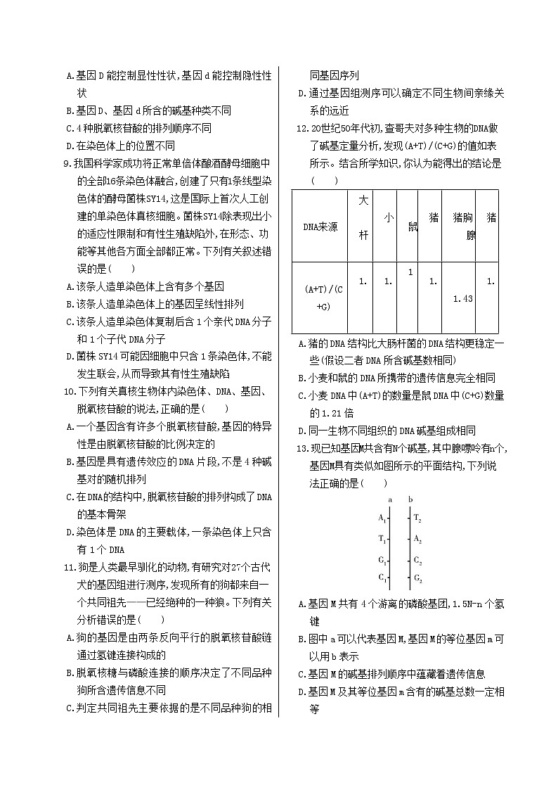 3.4《基因通常是有遗传效应的DNA片段》课件PPT+同步练习（含答案）02