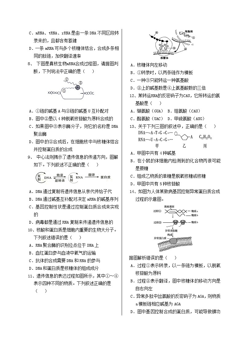 4.1《基因指导蛋白质的合成》课件PPT+同步练习（含答案）02