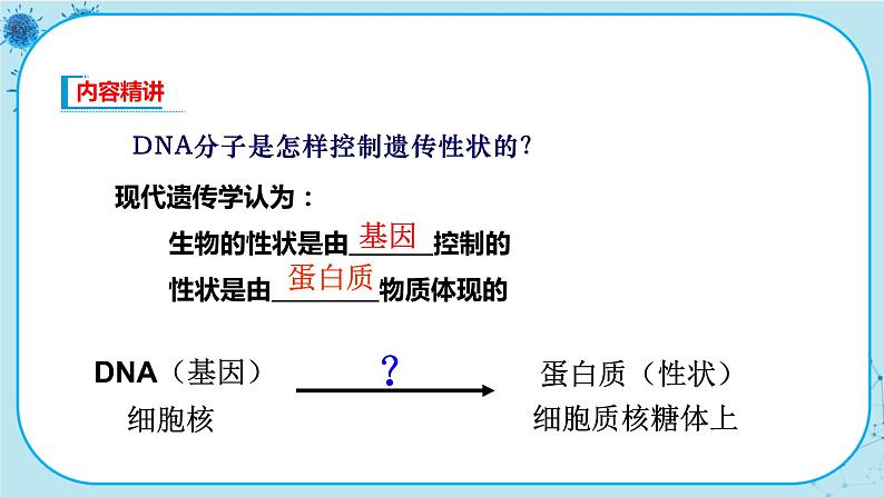 4.1《基因指导蛋白质的合成》课件PPT+同步练习（含答案）03