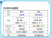 4.1《基因指导蛋白质的合成》课件PPT+同步练习（含答案）