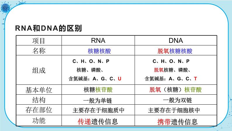 4.1《基因指导蛋白质的合成》课件PPT+同步练习（含答案）05