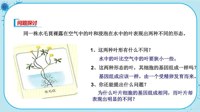 4.2《基因表达与性状的关系》课件PPT+同步练习（含答案）03